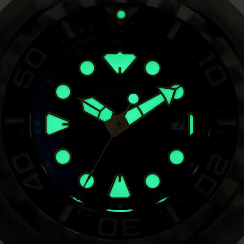 Reloj pulsera Citizen BN0220-16E