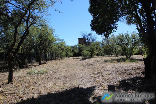 Lote De 1500m2 En Cerro De Oro, Sobre Calle Cuesta De La Granadilla