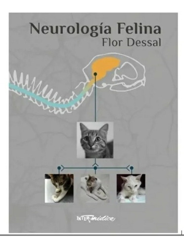 Neurologia Felina Dra. Flor Dussal 