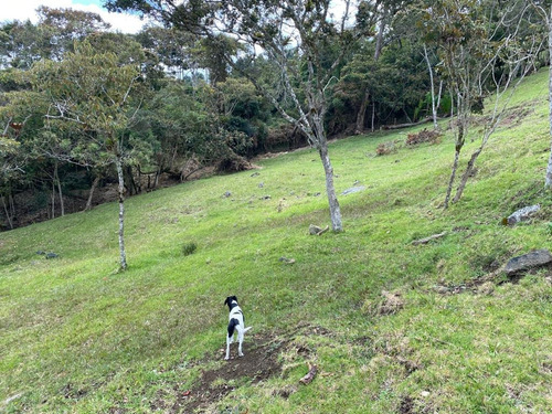 Lote Con Banqueo, Fácil Acceso Y Nacimiento De Agua