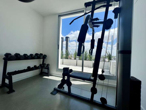Venta De Apartamento De 1 Dormitorio En Cordón Miraf Haedo