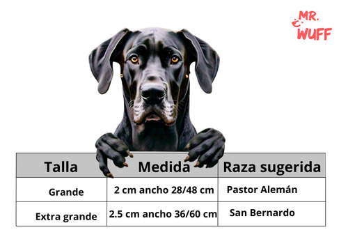 Collar Para Perros Gatos Mascotas Ajustable Mr Wuff Color Negro Broche Tamaño del collar L