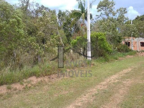 Imagem 1 de 4 de Cód 2940 - Ótimo Terreno Com 4.000 M². - 2940