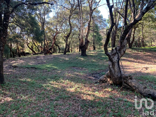 Venta Terreno 0 Ambiente Los Ocotes