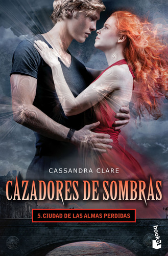 Ciudad De Las Almas Perdidas / Cazadores De Sombras / Vol. 5