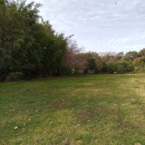 Imagen 15 de 16 de Venta Chacra De 7 Ha. En Zona De Gran Potencial