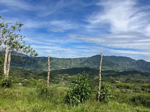 Lote En San Carlos Antioquia
