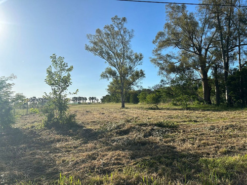 Lote En Venta En La Cañada I, City Bell