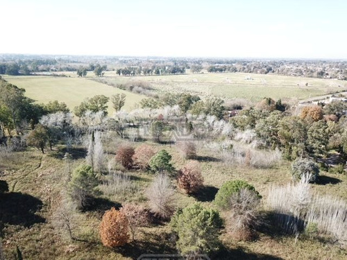 Terreno Campo En Venta Ubicado En Villa Rosa, Pilar Y Alrededores