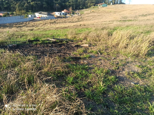 (k.a) Venha Conferir Grandes Ofertas Em Sp - 1.000m²