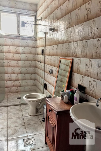 Imagem 7 de 15 de Casa À Venda No São João Batista - Código 330026 - 330026