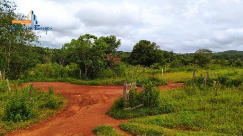 Chácara Com 1 Dormitório À Venda, 20000 M² Por R$ 235.000,00 - Zona Rural - Pirenópolis/go - Ch0077