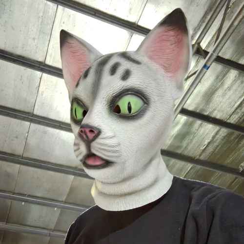 Máscara De Cabeza De Gato De Halloween, Divertida Y Linda Má