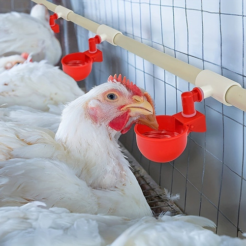 15 Unids Bebedouros Automático Copinho Para Aves + Te Adapta Cor Vermelho 0