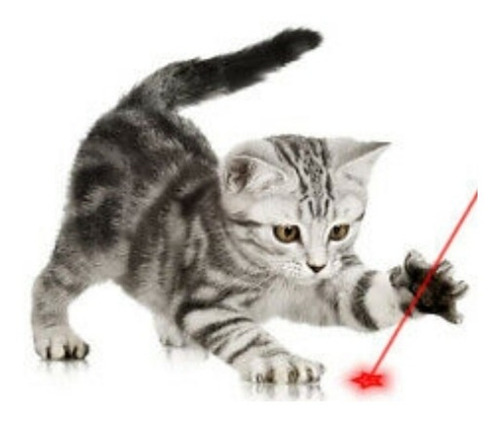 Juguete Gatos Apuntador Láser Luz Roja 12 Puntas De Diseños