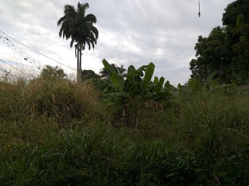 Imagen 21 de 25 de Casa En Las Mayas En El Limon En Maracay