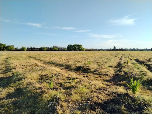 Terreno Agrícola De 33,5 Ha - Campo En Venta, San Clemente