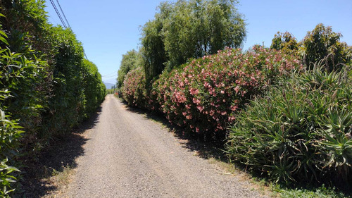 Quillota (104730)