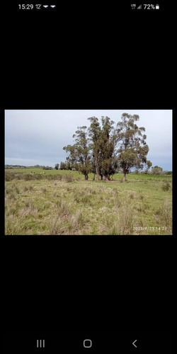 Campo.exelente Ubicación.canelones.entre San Ramón Y Tala