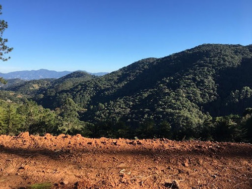 Imagem 2 de 11 de Terreno De 1767m² A Venda Em Condominio Em Santo Antônio Do Pinhal, Na Serra Da Mantiqueira, Vista Livre, Contato Com A Natureza - Te0436