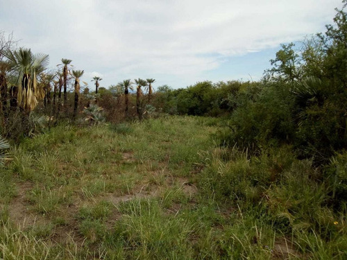 Imagen 5 de 14 de C012bc - Campo 56 Has En Bajo Los Corrales