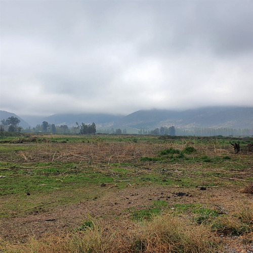 Excelente Terreno En Sector Roma San Fernando