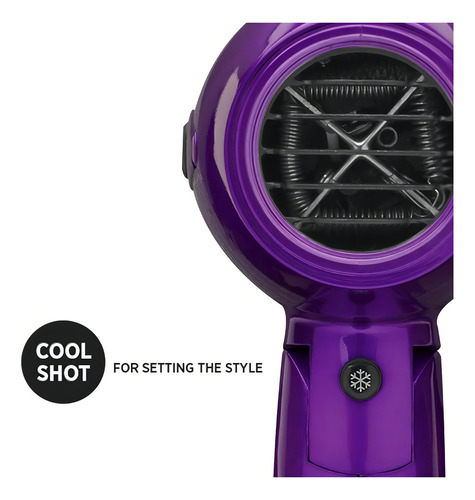 Secadora De Viaje Plegable Morada Profesional