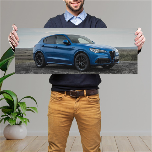 Cuadro 30x80cm Auto 2020 Alfa Romeo Stelvio Velo 462