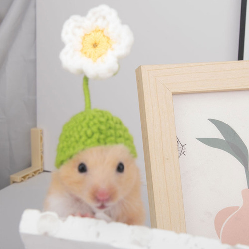 Gorro De Hámster Con Forma De Orejas De Conejo (9 #mold), Di