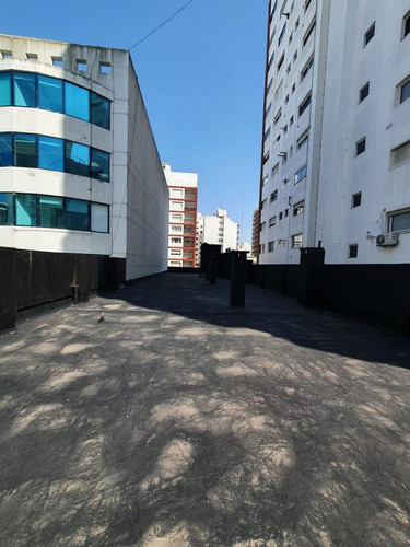 Imagen 16 de 25 de Local - Mar Del Plata