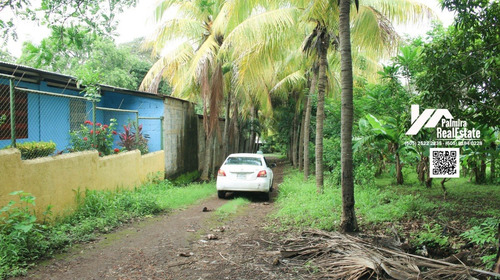 Imagen 3 de 7 de Se Vende Casa En Km21 Ctra. Masaya