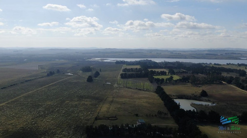 Imagen 10 de 17 de Única Chacra Con Producción De Arándanos En Laguna Del Sauce - Zona Rural Zona Rural