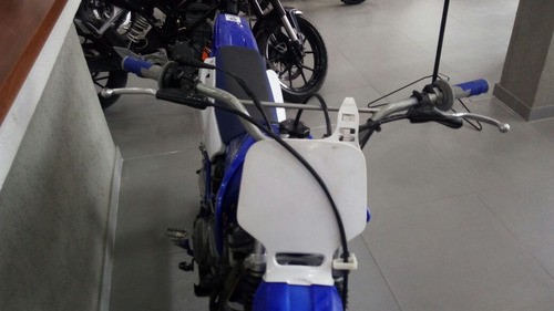 Imagen 12 de 20 de Moto Yamaha Ttr 125 2008 Delisio