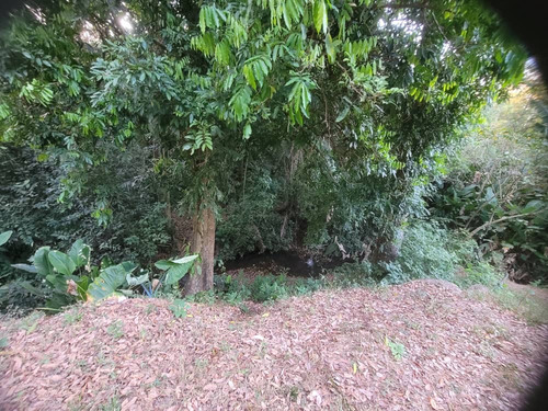 Global Vende Finca De 28 Hectáreas En Urb. Tocuyito Sector La Yaguara (vía Campo Carabobo)