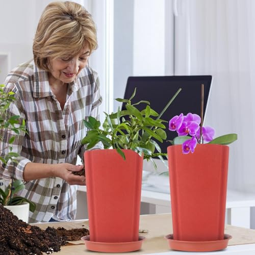 Maceta De Orquídea De 6 Pulgadas Premium, Macetas De Arcill