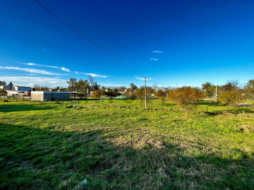 Venta Terreno 550m² En Luis Palacios