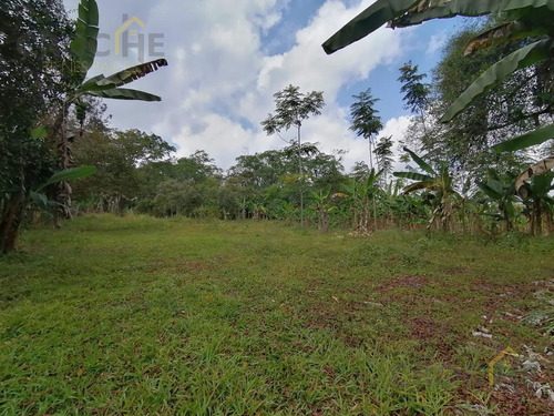 Terreno En Venta En Teocelo Veracruz