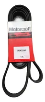 Comprar Correa Poli V Ford Focus One Año 2003\u002F2009 Motor 1.6l Zetec