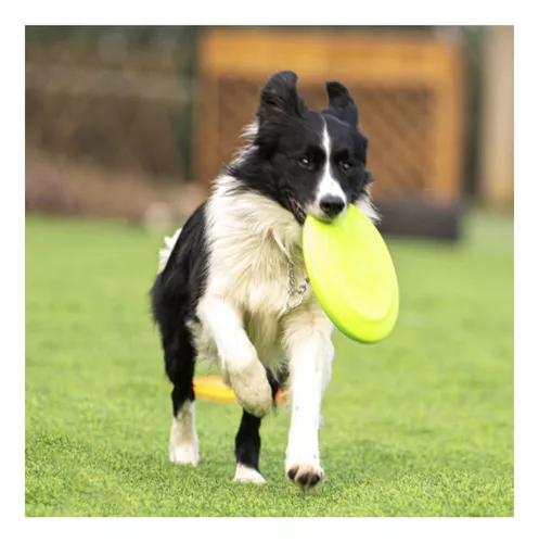 Frisbee para perros de goma eva, Mascosas