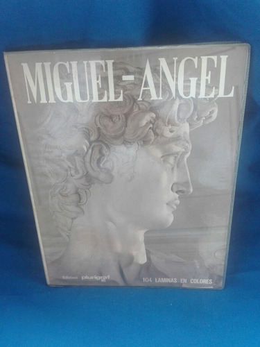 Miguel Angel, 104 Láminas A Color