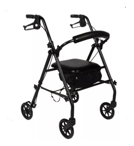 Rolling Walker Equate