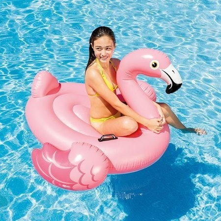 Flotador Flamingo Inflable Intex Gigante Set De 4 Piezas