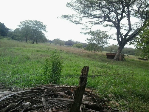 Imagen 21 de 22 de Finca Sector Caroní Estado Barinas En Venta