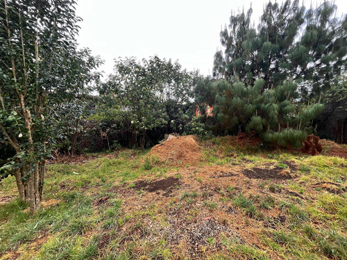 Terreno A 10 Cuadras Del Centro Histórico De San Cristóbal En Barrio Tranquilo Y Seguro