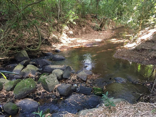 Imagem 2 de 30 de Sítio À Venda, 150000 M² Por R$ 550.000,00 - Largo Santa Cruz - Espírito Santo Do Pinhal/sp - Si0013