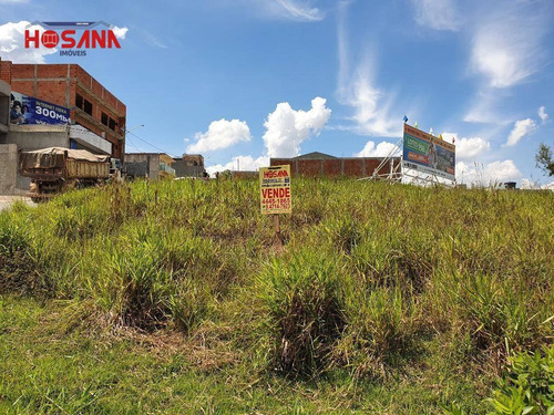 Imagem 5 de 6 de Terreno Comercial E Residencial A Venda Em Avenida - Te0411