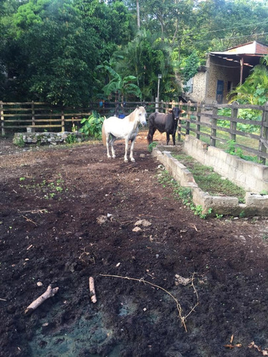 Imagen 6 de 7 de Finca En Venta En Guarico