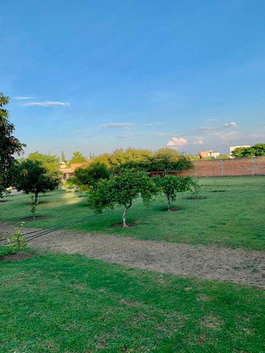 Imagen 5 de 11 de Se Vende Terreno A 5 Minutos De Plaza Punto Sur
