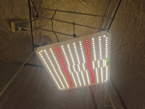 Led Grow Quantum Board 65w/650w Samsung Lm283b + Dpred 660nm Amarelo