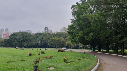 Cemitério Morumby - Jazigo Vazio Com 3 Gavetas - Área Nobre